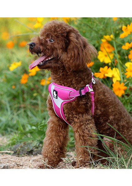 Oxford Kumaşlı, Turuncu Mesh Göğüs Tasması fırsatları