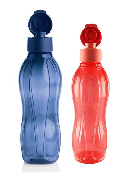 Eko Şişe 2'li Set 1 lt Lacivert - 750 ml Mercan Kapak Gövde Aynı