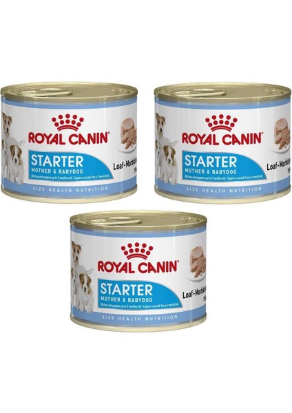 Starter Mother - Babydog Köpek Konservesi 195 gr 3 Adet