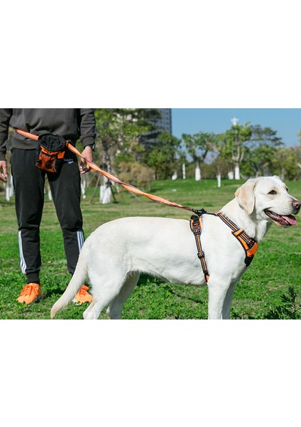 Esnek, Yumuşak, Kırmızı Tasma Kayışı fırsatları