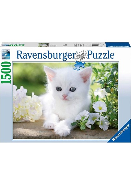 1500 Parça Beyaz Kedi Yavrusu Puzzle