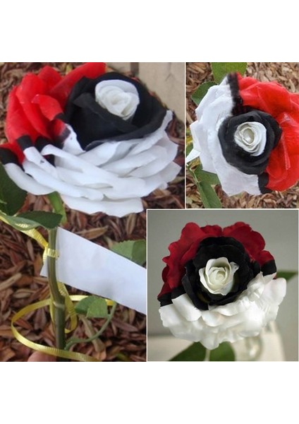 Siyah Inci Gülü Tohumu