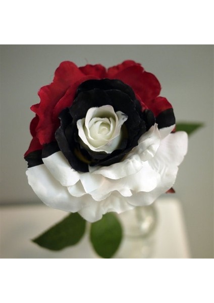 Siyah Inci Gülü Tohumu modelleri