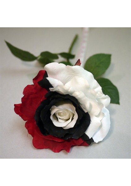 Siyah Inci Gülü Tohumu fırsatları