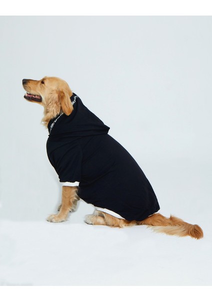 Kapşonlu Baskılı Köpek Sweatshirtü