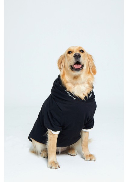 Kapşonlu Baskılı Köpek Sweatshirtü fiyatları