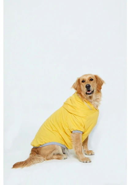 Kapşonlu Baskılı Köpek Sweatshirtü