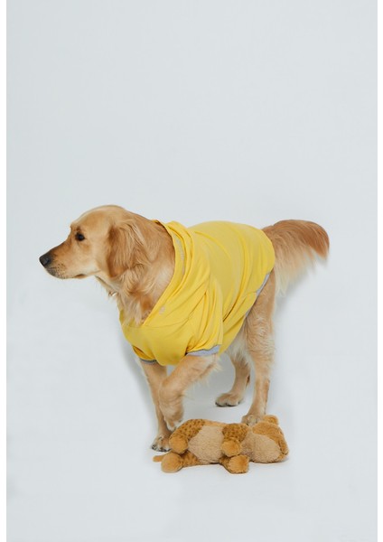 Kapşonlu Baskılı Köpek Sweatshirtü