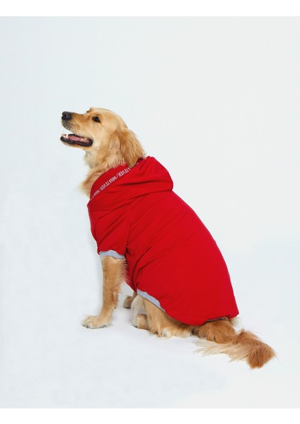 Kapşonlu Baskılı Köpek Sweatshirtü