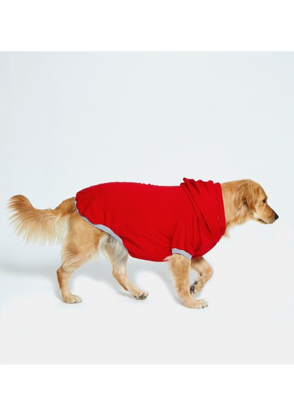 Kapşonlu Baskılı Köpek Sweatshirtü