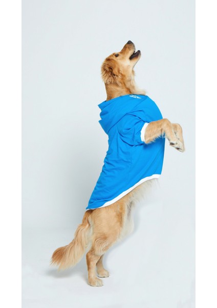 Kapşonlu Baskılı Köpek Sweatshirtü modelleri