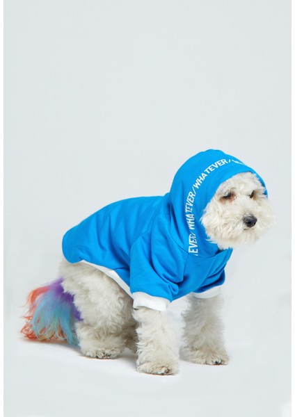 Kapşonlu Baskılı Köpek Sweatshirtü fırsatları