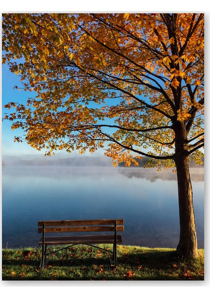 Ahşap Tablo Sonbaharda Göl Manzarası ve Boş Bank