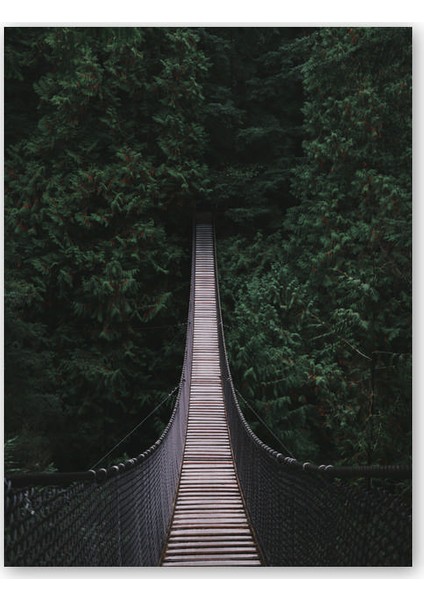 Cakatablo Ahşap Tablo Orman Içine Uzanan Asma Köprü