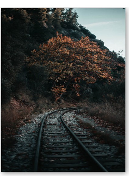 Ahşap Tablo Tren Rayları ve Sonbahar Renkleri