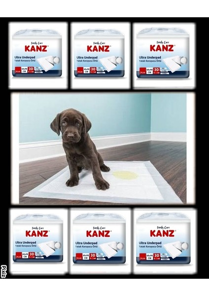 Kedi Köpek Çiş Pedi 60*90 30 Lu 6 Paket 180 Adet modelleri