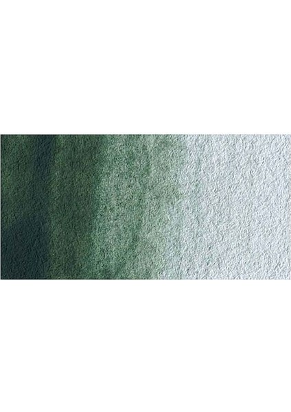 : Professional : Tüp Sulu Boya : 5 ml : Terre Verte 637 S.1 fiyatları