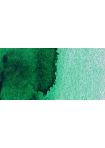 : Professional : Tüp Sulu Boya : 5 ml : Winsor Green (Ys) 721 S.1