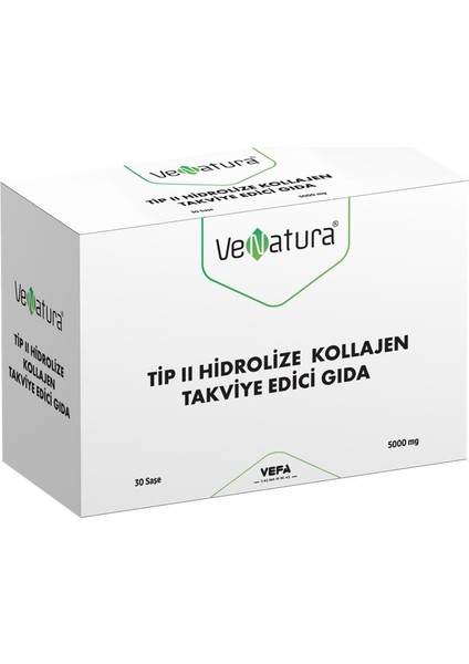 Tip 2 Hidrolize Balık Kollajeni Takviye Edici Gıda