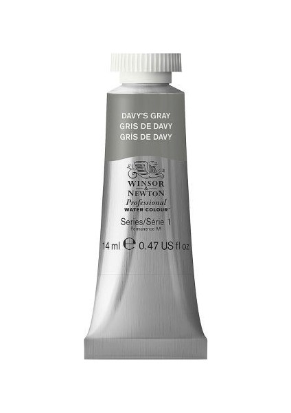 : Professional : Sulu Boya : 14 ml : Davy's Gray 217 S.1