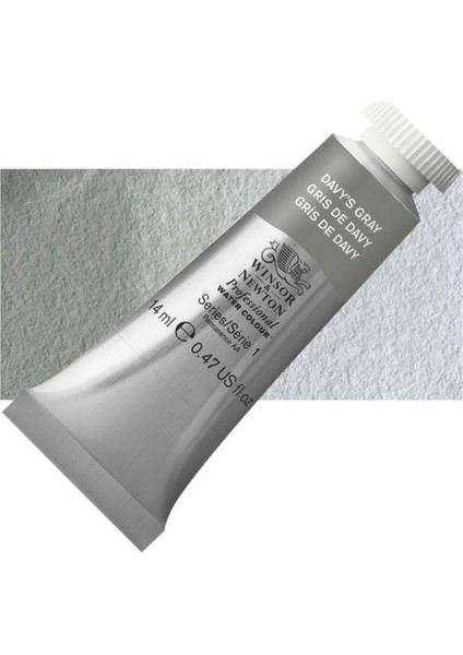 : Professional : Sulu Boya : 14 ml : Davy's Gray 217 S.1 modelleri