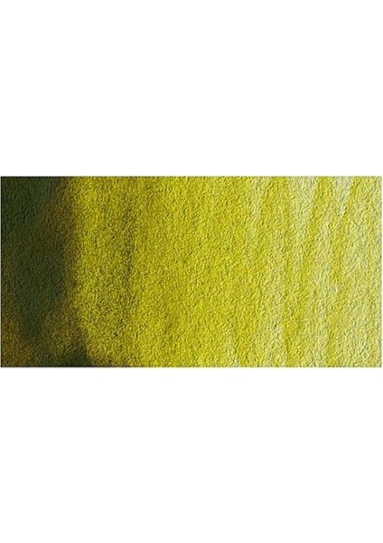 : Professional : Sulu Boya : 14 ml : Green Gold 294 S.2 fiyatları