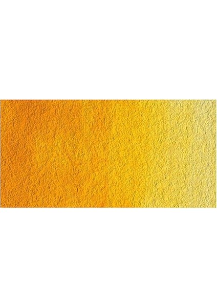 : Professional : Sulu Boya : 14 ml : New Gamboge 267 S.1 fiyatları