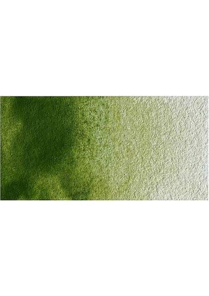 : Professional : Sulu Boya : 14 ml : Olive Green 447 S.1 fiyatları