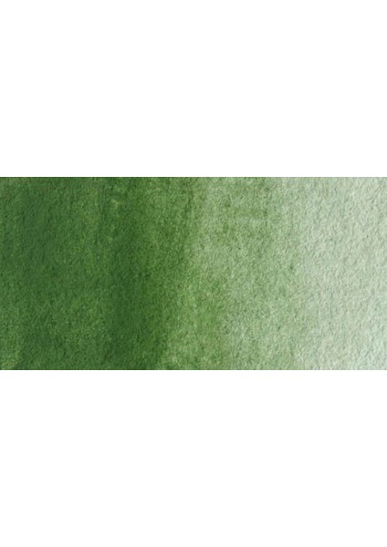 : Professional : Sulu Boya : 14 ml : Oxide Of Chromium 459 S.3 fiyatları