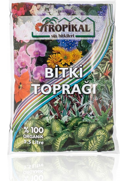 Bonsai Mavi Servi Seti (Fidan+Bonsai Saksı+Toprak +Bitki Besini)
