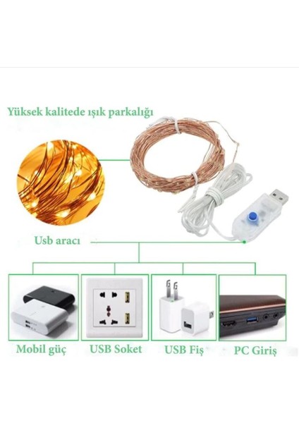 Hdmarketim Yılbaşı Ağaç Süsleme USB Girişli Animasyonlu(2,8metre)Led Işık 30 Lu Mandal Fotograf Albüm