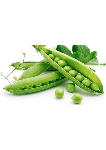 Murat Tohum Bezelye Tohumu Geleneksel Bezelye Tohumu 20 Adet Tohum