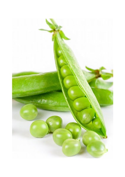 Murat Tohum Bezelye Tohumu Geleneksel Bezelye Tohumu 20 Adet Tohum fiyatları