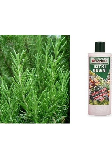 Tropikal Bitki Besini - Yeşil Bitkiler Için 1000 ml