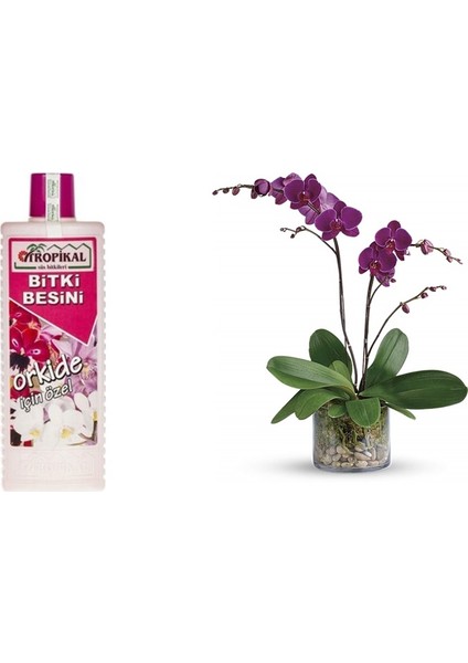 Tropikal Orkide Bitki Besini 6 Adet - 1000 ml