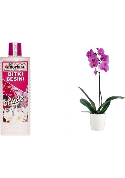 Tropikal Orkide Bitki Besini 6 Adet - 1000 ml