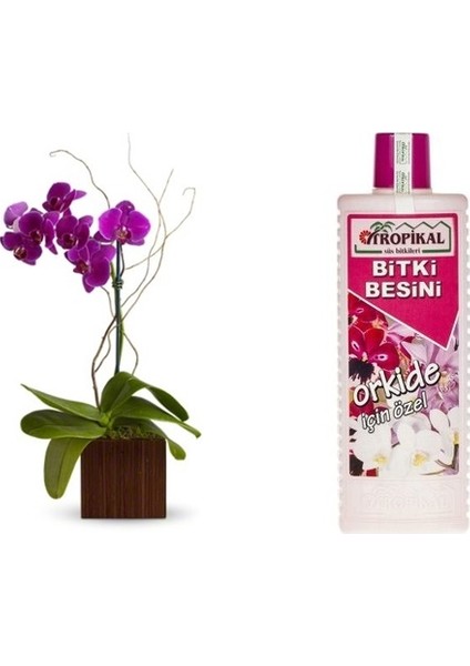 Tropikal Orkide Bitki Besini 6 Adet - 1000 ml