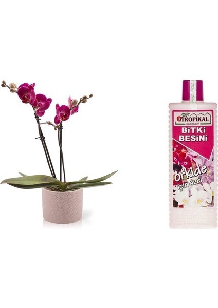 Tropikal Orkide Bitki Besini 6 Adet - 1000 ml
