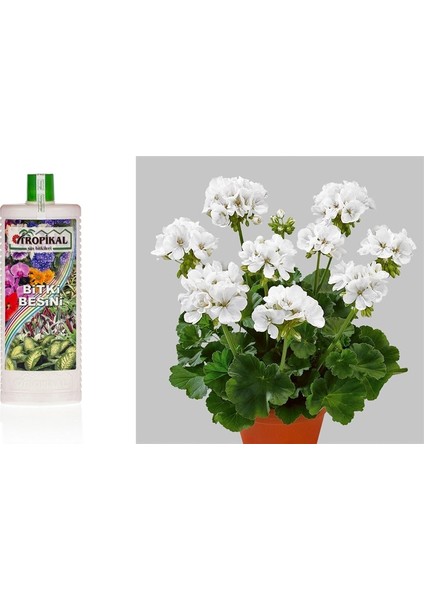 Tropikal Bitki Besini 6 Adet - Genel Kullanım 1000 ml