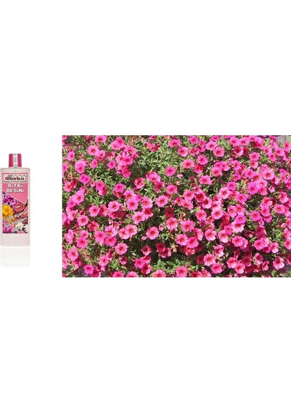 Tropikal Bitki Besini - Çiçek Açtıran 1000 ml