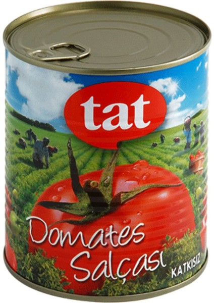 Tat Domates Salçası 830 gr Fiyatı - Taksit Seçenekleri