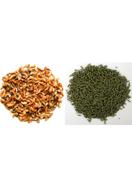 Gammarus 1000 ml + Turtle 250 ml Kaplumbağa ve Sürüngen Yemi