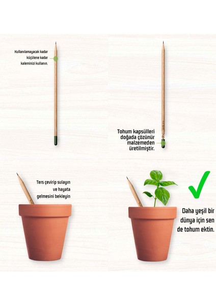 Efsane Atıştırmalık Paketi No:23 Parça . Tohumlu Kalem Hediyeli fırsatları