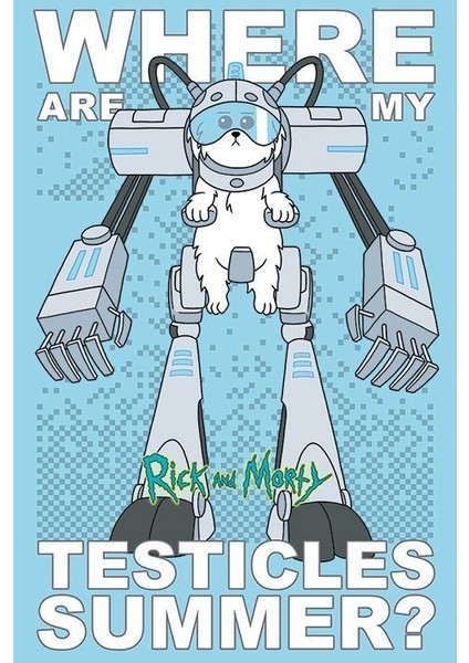 Maxi Poster Rick And Morty Where Are My Testicles