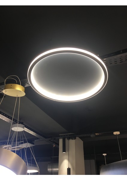 Voxlamplighting VXL54SPC 60 cm Içe Dışaözel Üretim Işık Bantlı Ta