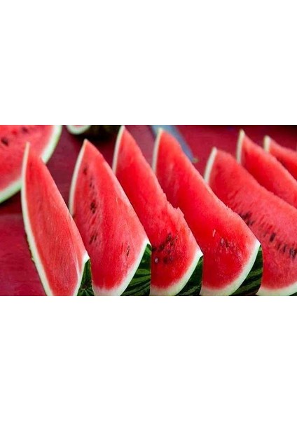 Murat Tohum Adana Karpuzu Tohumu Meşhur Adana Karpuzu Tohumu 10 Adet Tohum indirimleri