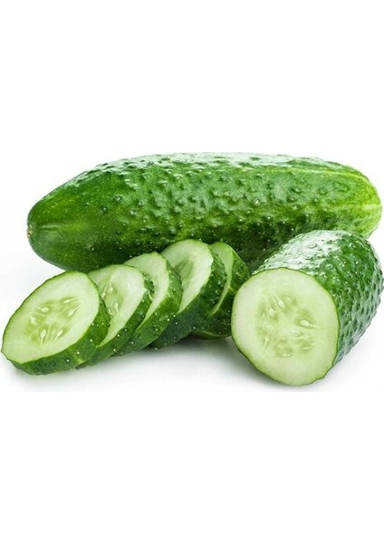 Murat Tohum Yerli Kornişon Salatalık Tohumu 15 Adet Tohum fiyatları