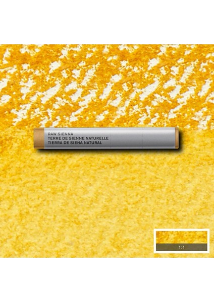 : Professional : Çubuk Sulu Boya : Raw Sienna 552 S.1