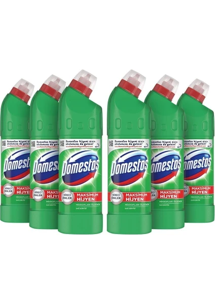 Int Domestos 750 gr Dag Esıntısı x 6