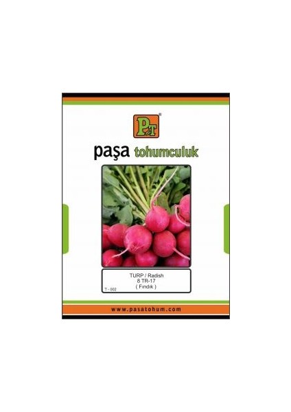 Turp Tohumu 10 gr Fındık 8-Tr-17